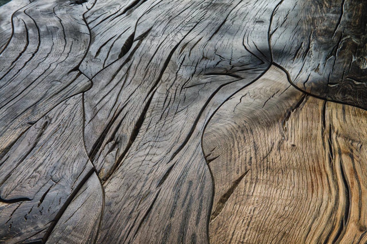 Мореная древесина