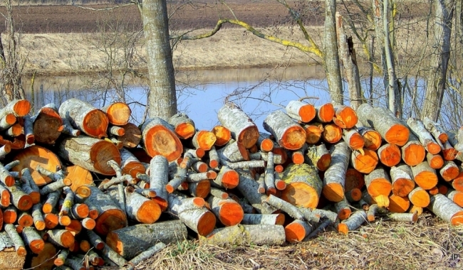 Ольховые дрова
